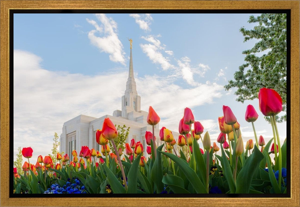 Ogden Flowers