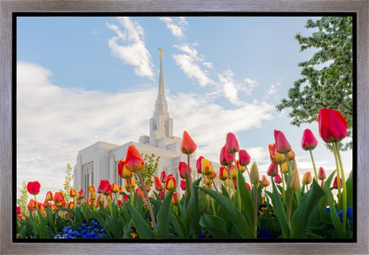 Ogden Flowers