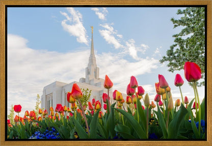 Ogden Flowers
