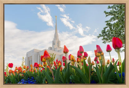 Ogden Flowers