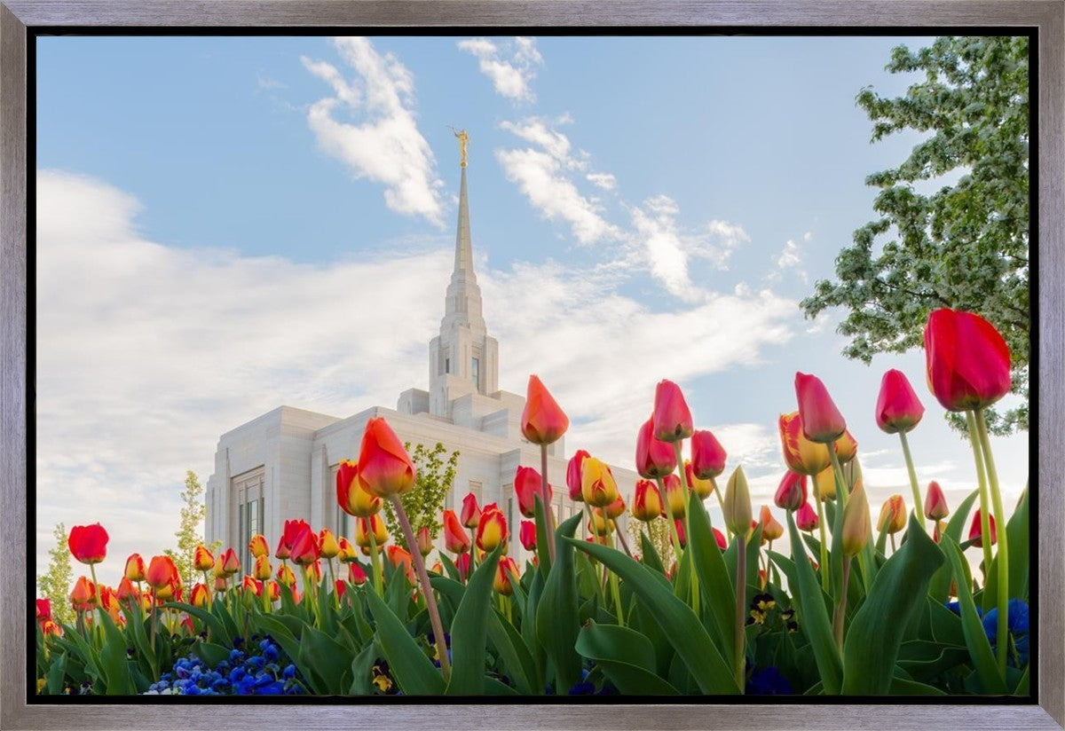 Ogden Flowers