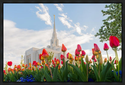 Ogden Flowers