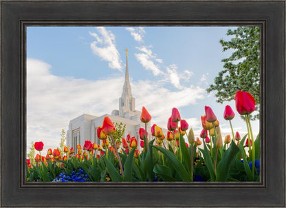 Ogden Flowers