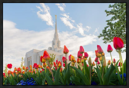 Ogden Flowers