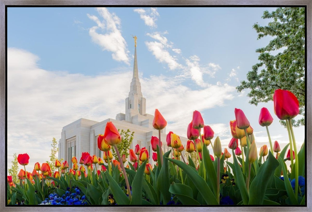 Ogden Flowers