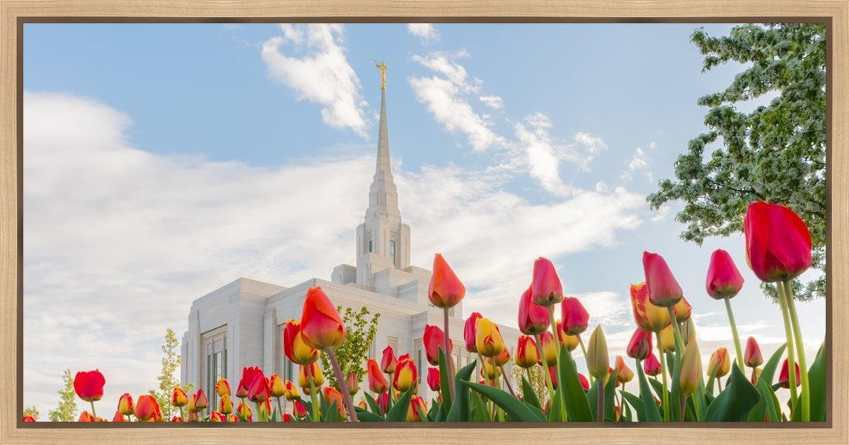 Ogden Flowers