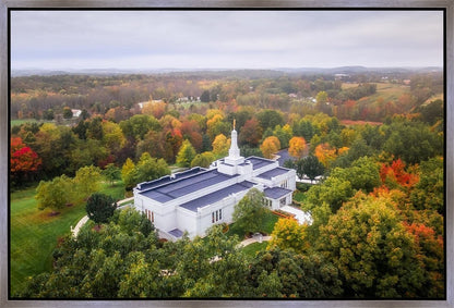 Palmyra and Sacred Grove Aerial