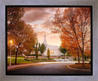 Palmyra Autumn