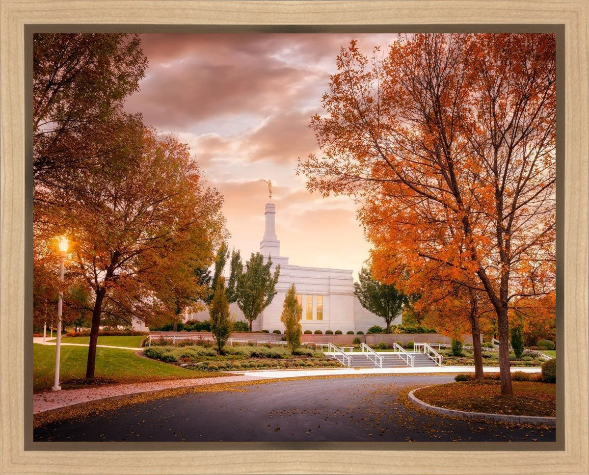 Palmyra Autumn