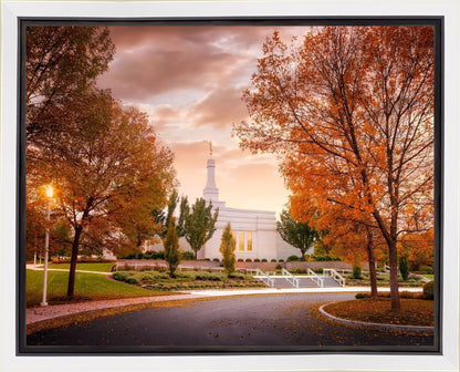 Palmyra Autumn