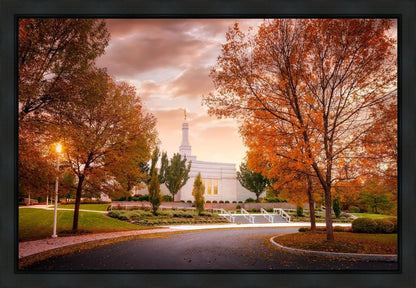 Palmyra Autumn