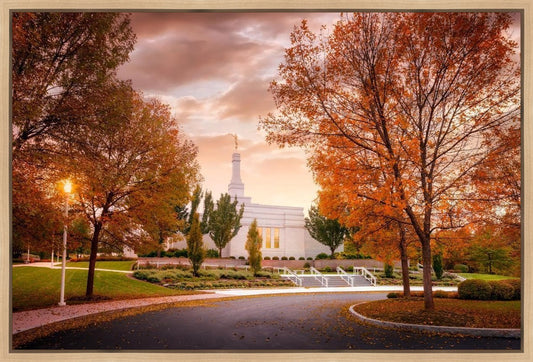 Palmyra Autumn