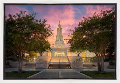 San Antonio Fiery Glow