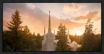 Portland High Glow