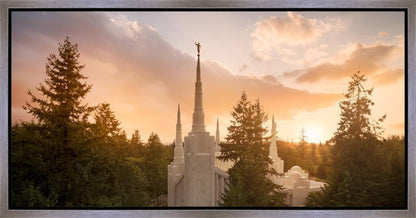 Portland High Glow
