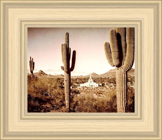 Phoenix Saguaro Cactus