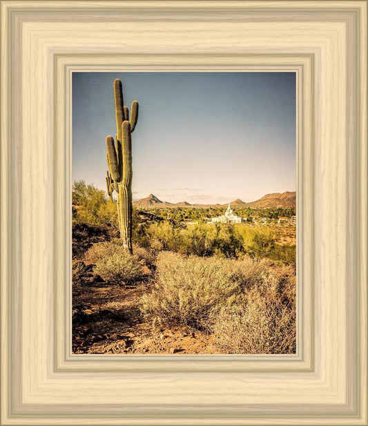 Phoenix Cactus Hill