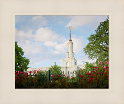 Sacramento Flowers