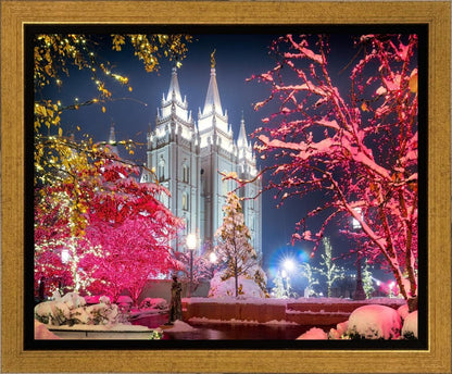 Salt Lake City Christmas Lights