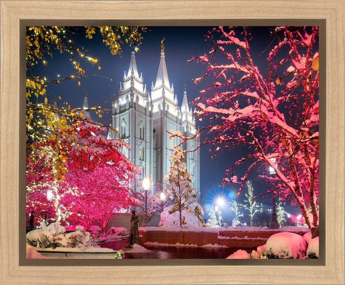 Salt Lake City Christmas Lights