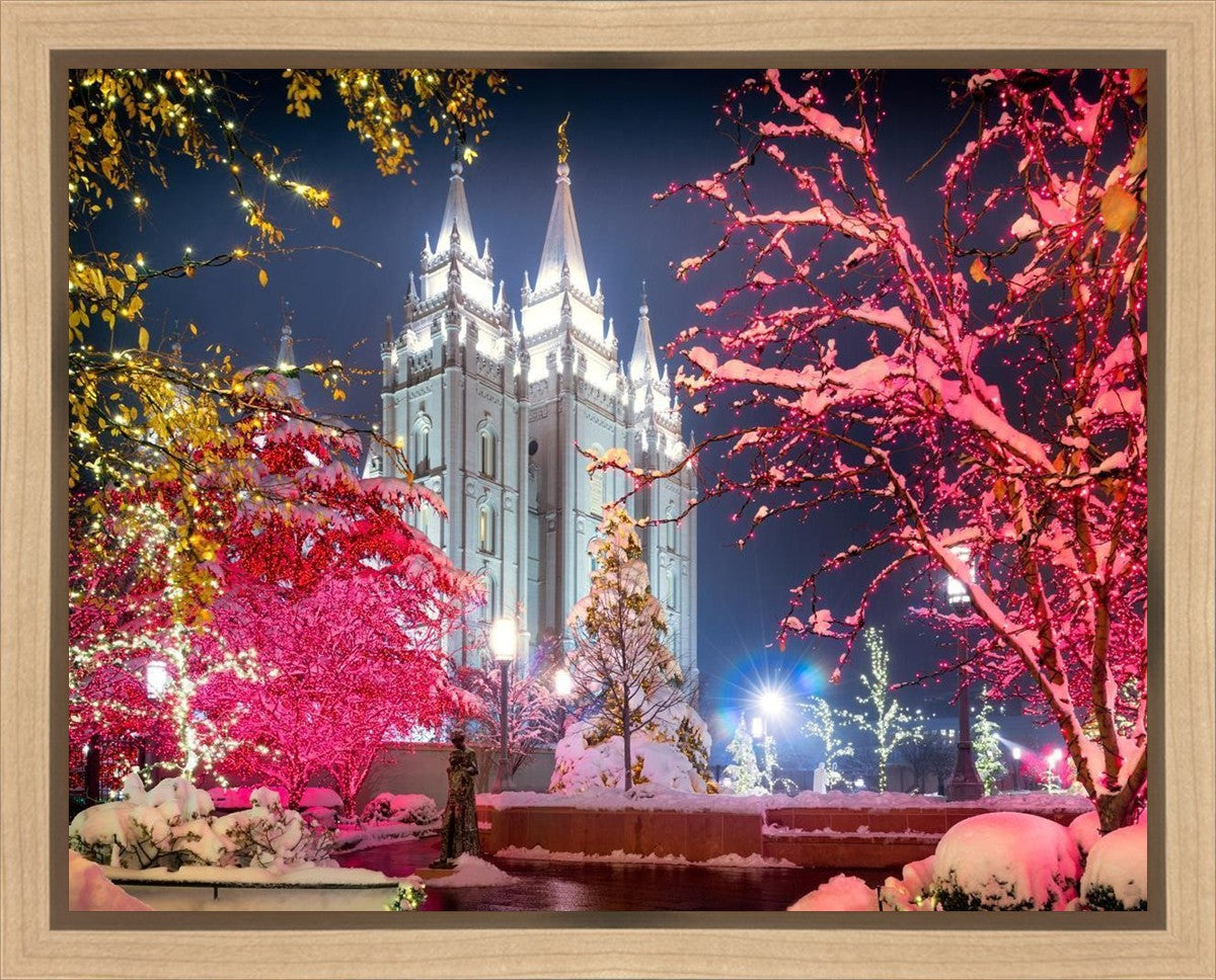 Salt Lake City Christmas Lights