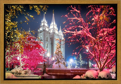 Salt Lake City Christmas Lights