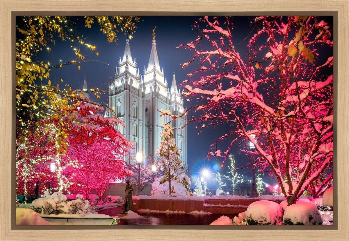 Salt Lake City Christmas Lights