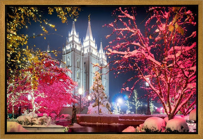 Salt Lake City Christmas Lights