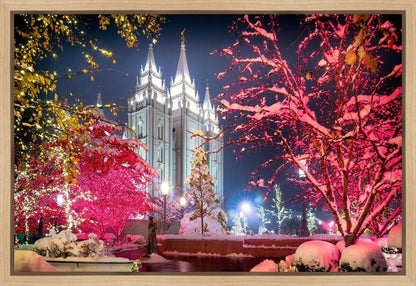 Salt Lake City Christmas Lights