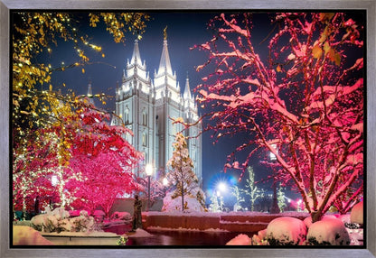 Salt Lake City Christmas Lights