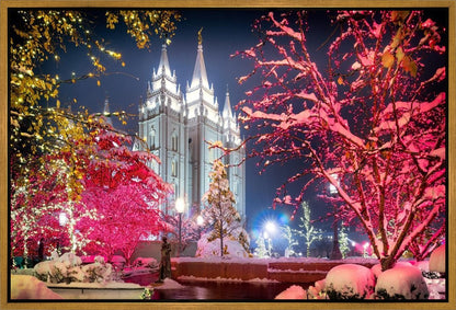 Salt Lake City Christmas Lights