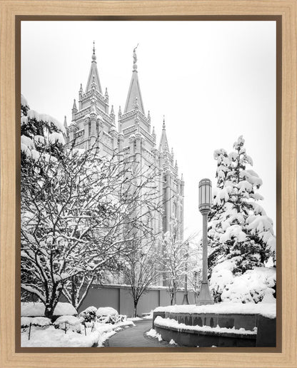 Salt Lake White Christmas