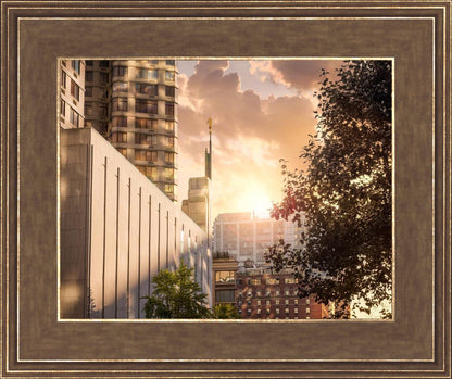 Manhattan Solace