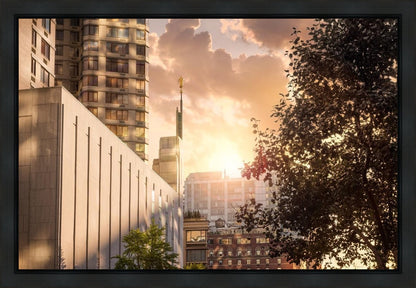 Manhattan Solace