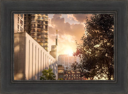 Manhattan Solace
