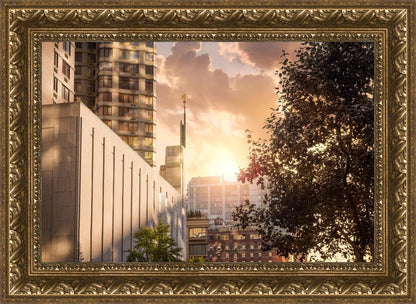 Manhattan Solace