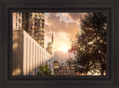 Manhattan Solace