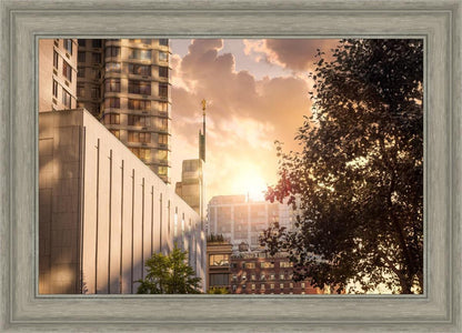 Manhattan Solace