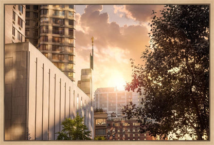 Manhattan Solace