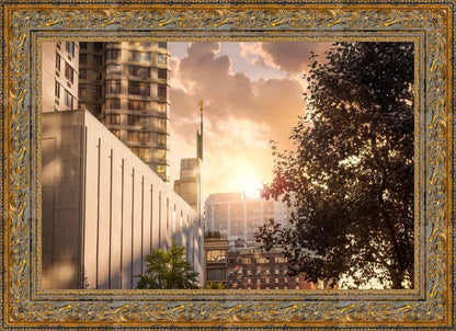 Manhattan Solace