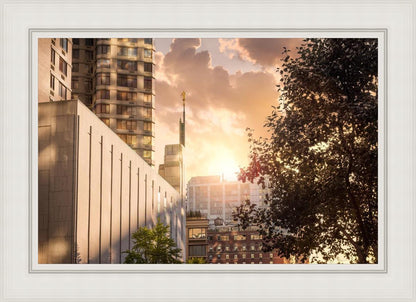 Manhattan Solace