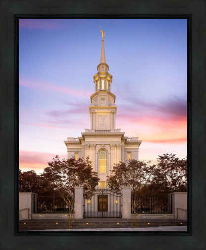 Philadelphia Liberty Skies