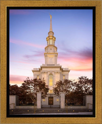 Philadelphia Liberty Skies