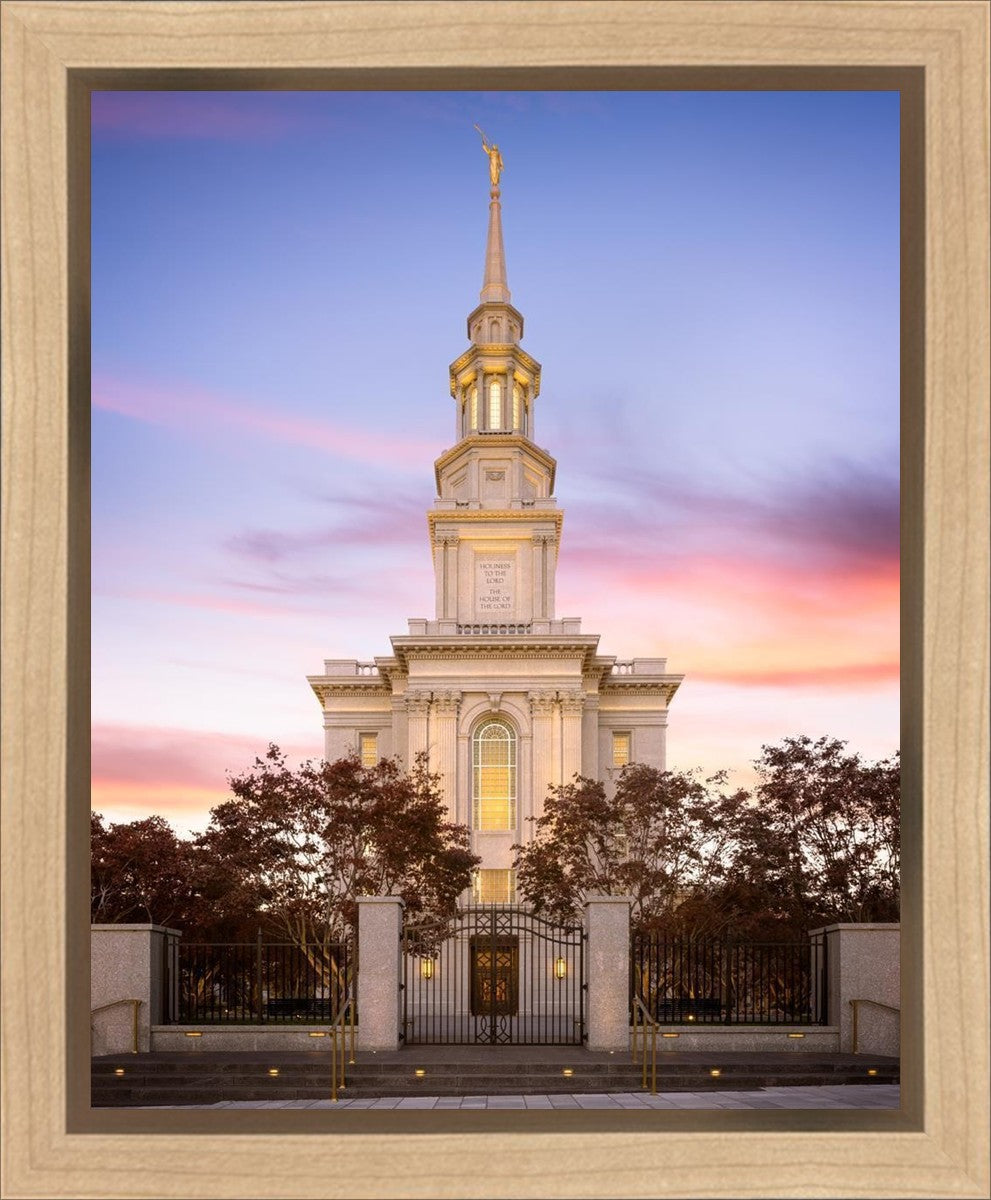 Philadelphia Liberty Skies