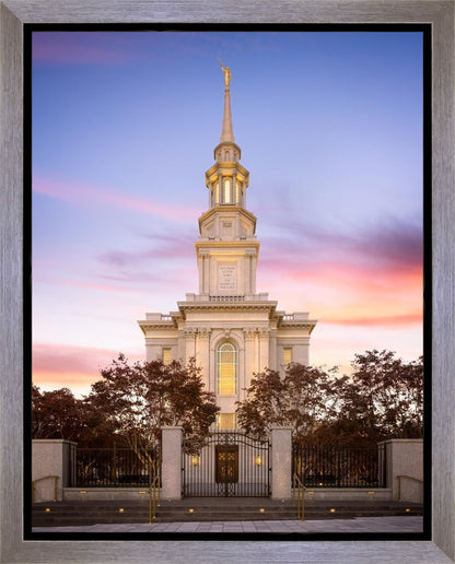 Philadelphia Liberty Skies