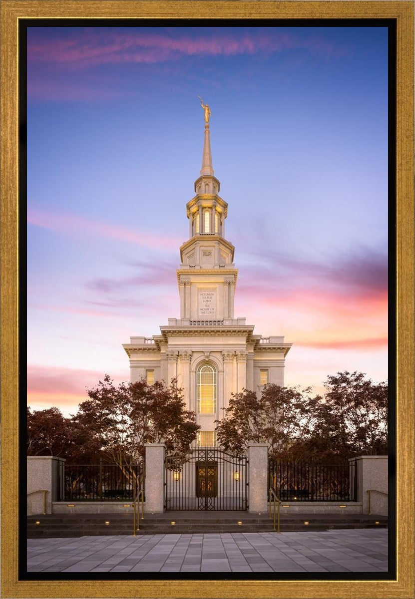 Philadelphia Liberty Skies