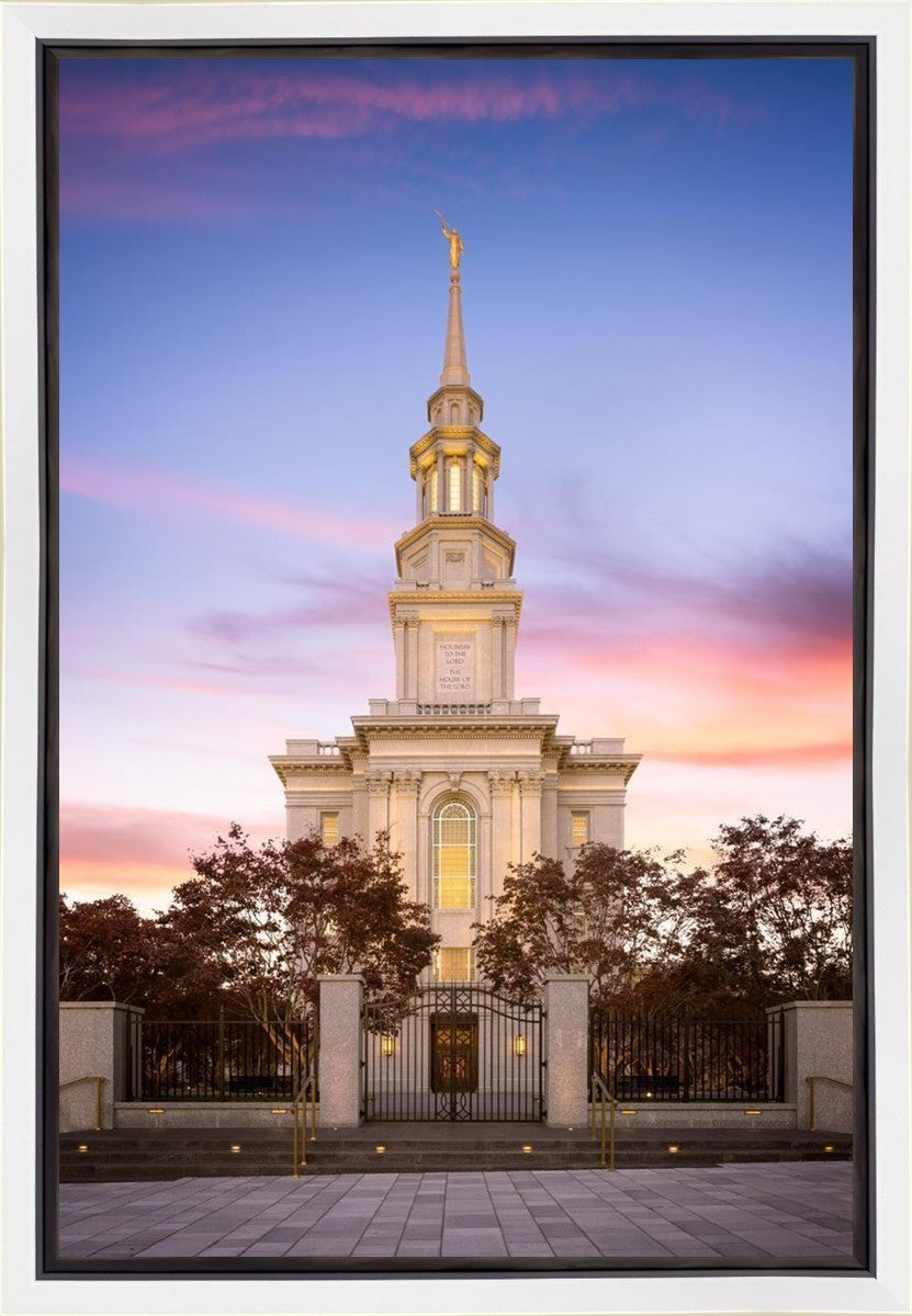 Philadelphia Liberty Skies