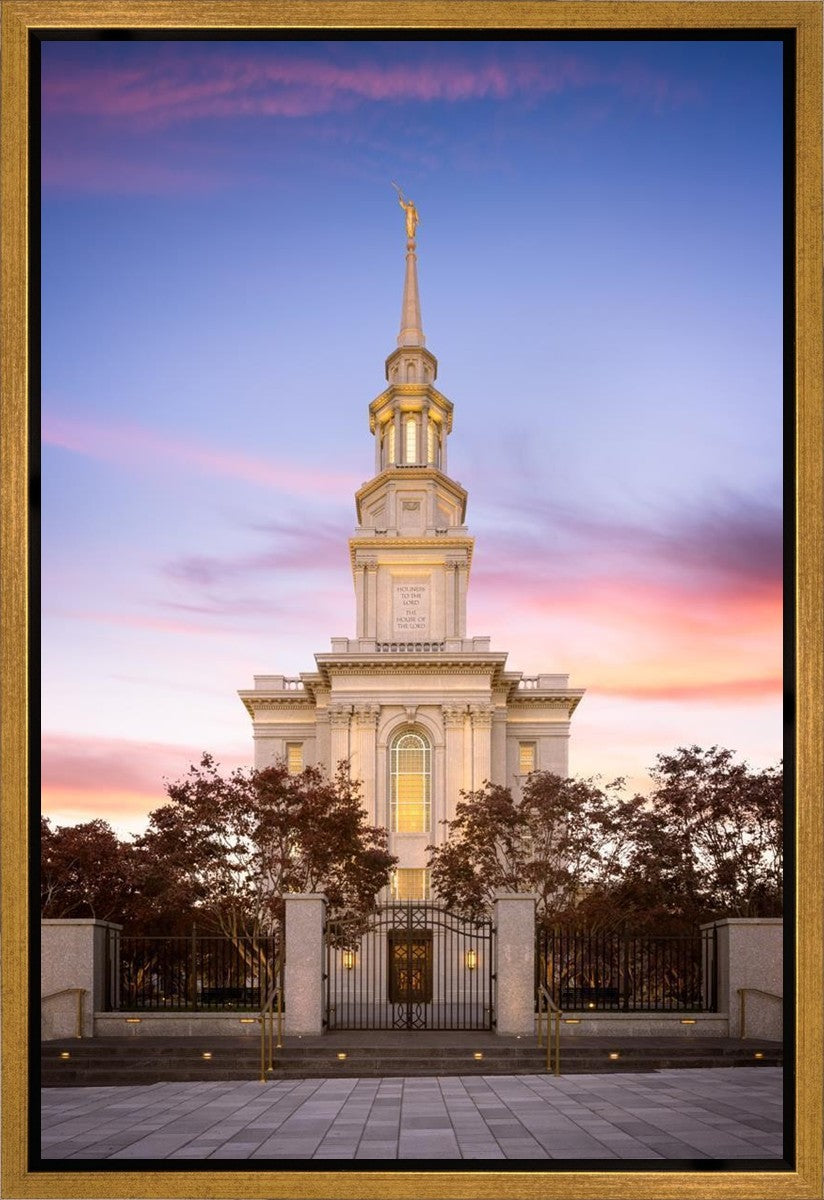 Philadelphia Liberty Skies