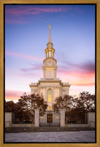 Philadelphia Liberty Skies