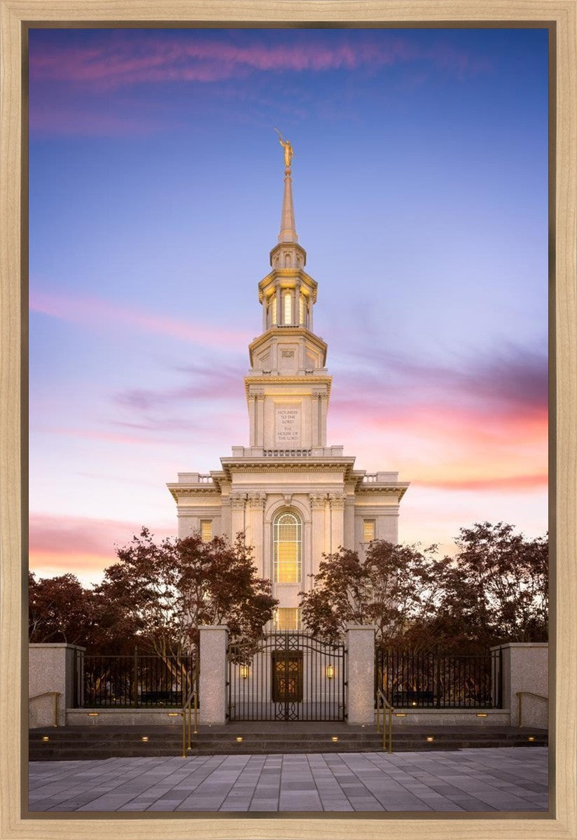 Philadelphia Liberty Skies